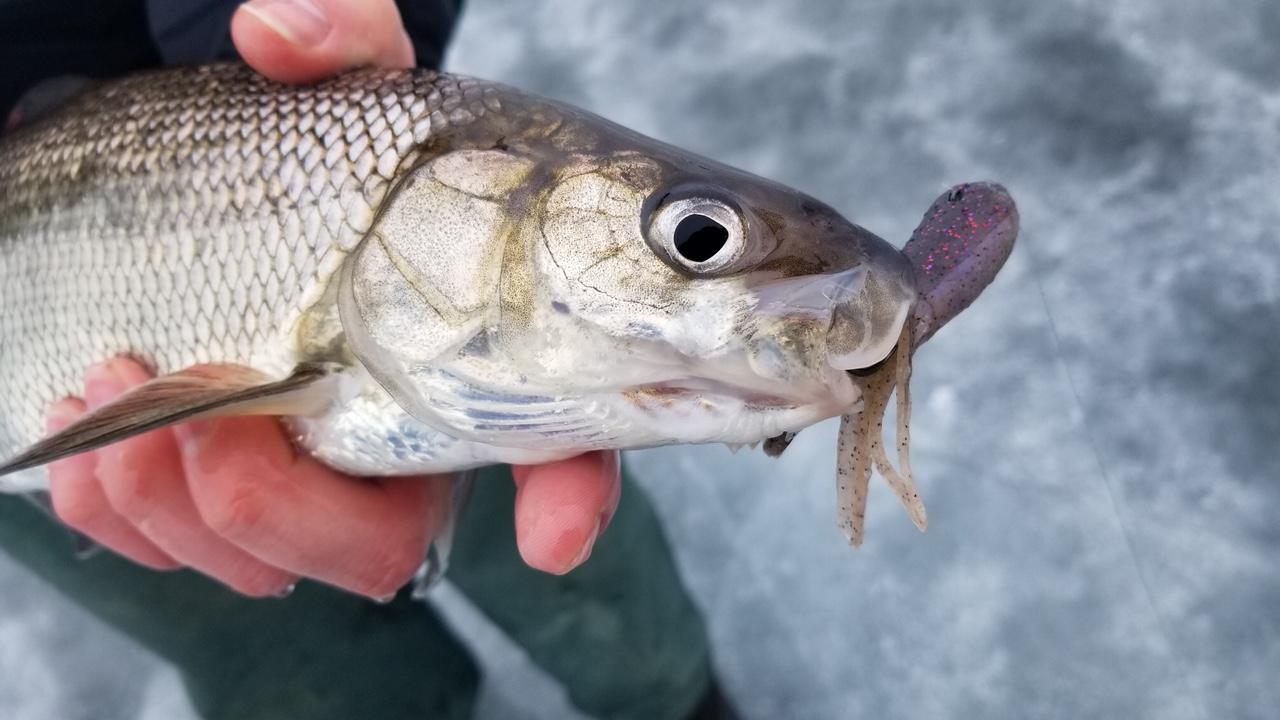 PC Ben Vasquez 2.JPEG